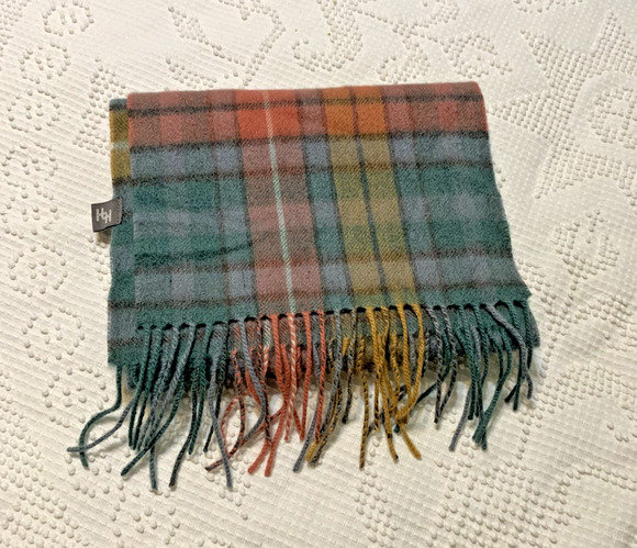 House of Hogarth Accessories - House of Hogarth Multicolor Plaid 100% lambswool Fringed Scarf Old Money Preppy